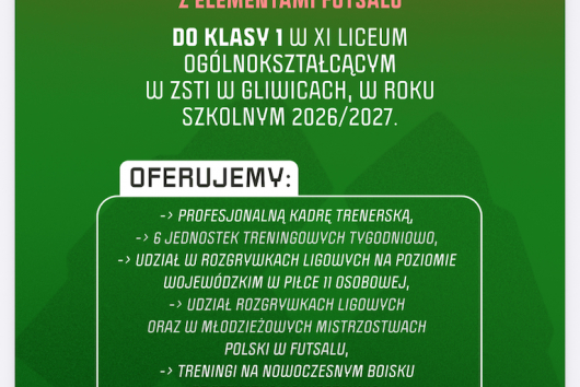 Nabór do oddziału mistrzostwa sportowego o profilu piłka nożna z elementami futsalu w XI Liceum Ogólnokształcącym w ZSTI